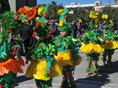 Sfilata dei carri, gruppi e meraviglie 2014, foto 054