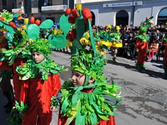 Sfilata dei carri, gruppi e meraviglie 2014, foto 056