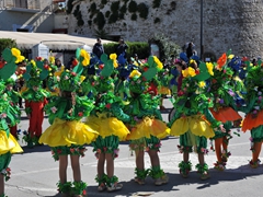 Sfilata dei carri, gruppi e meraviglie 2014, foto 058