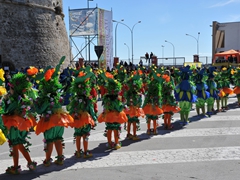 Sfilata dei carri, gruppi e meraviglie 2014, foto 059