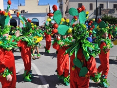 Sfilata dei carri, gruppi e meraviglie 2014, foto 061