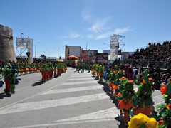 Sfilata dei carri, gruppi e meraviglie 2014, foto 066