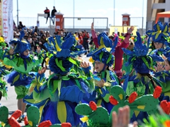 Sfilata dei carri, gruppi e meraviglie 2014, foto 069