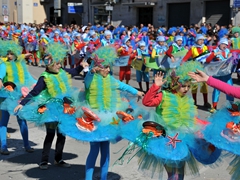 Sfilata dei carri, gruppi e meraviglie 2014, foto 075