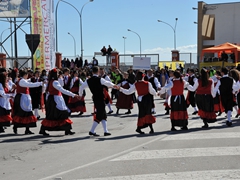 Sfilata dei carri, gruppi e meraviglie 2014, foto 098