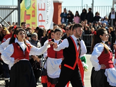 Sfilata dei carri, gruppi e meraviglie 2014, foto 101