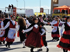 Sfilata dei carri, gruppi e meraviglie 2014, foto 104