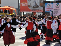 Sfilata dei carri, gruppi e meraviglie 2014, foto 105