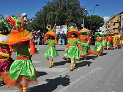 Sfilata dei carri, gruppi e meraviglie 2014, foto 109