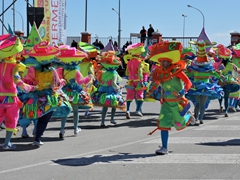 Sfilata dei carri, gruppi e meraviglie 2014, foto 140