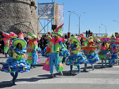 Sfilata dei carri, gruppi e meraviglie 2014, foto 141