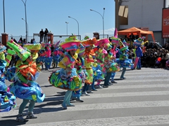 Sfilata dei carri, gruppi e meraviglie 2014, foto 142