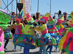 Sfilata dei carri, gruppi e meraviglie 2014, foto 145