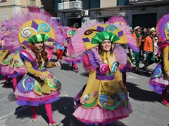 Sfilata dei carri, gruppi e meraviglie 2014, foto 151