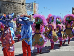 Sfilata dei carri, gruppi e meraviglie 2014, foto 156