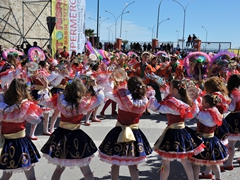 Sfilata dei carri, gruppi e meraviglie 2014, foto 162