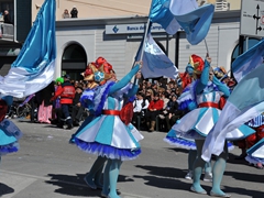 Sfilata dei carri, gruppi e meraviglie 2014, foto 163