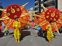 Sfilata dei carri, gruppi e meraviglie 2014, foto 171