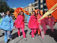 Sfilata dei carri, gruppi e meraviglie 2014, foto 173