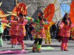 Sfilata dei carri, gruppi e meraviglie 2014, foto 186