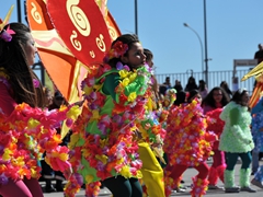 Sfilata dei carri, gruppi e meraviglie 2014, foto 188