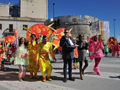 Sfilata dei carri, gruppi e meraviglie 2014, foto 203