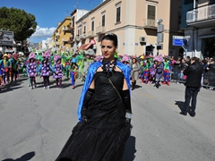 Sfilata dei carri, gruppi e meraviglie 2014, foto 213