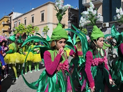 Sfilata dei carri, gruppi e meraviglie 2014, foto 216