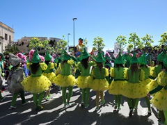 Sfilata dei carri, gruppi e meraviglie 2014, foto 218