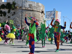 Sfilata dei carri, gruppi e meraviglie 2014, foto 229