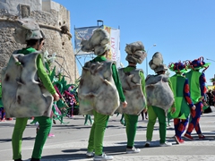 Sfilata dei carri, gruppi e meraviglie 2014, foto 230