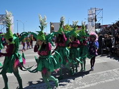 Sfilata dei carri, gruppi e meraviglie 2014, foto 234