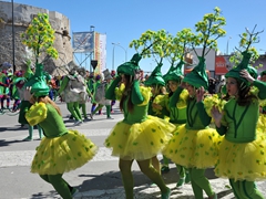 Sfilata dei carri, gruppi e meraviglie 2014, foto 235