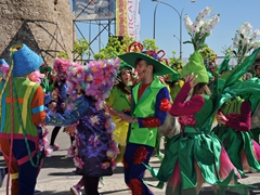 Sfilata dei carri, gruppi e meraviglie 2014, foto 236