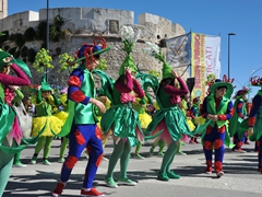 Sfilata dei carri, gruppi e meraviglie 2014, foto 238