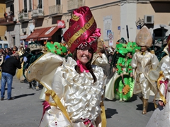 Sfilata dei carri, gruppi e meraviglie 2014, foto 245