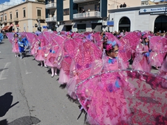 Sfilata dei carri, gruppi e meraviglie 2014, foto 271