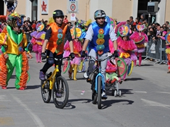 Sfilata dei carri, gruppi e meraviglie 2014, foto 293