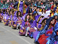 Sfilata dei carri, gruppi e meraviglie 2014, foto 306