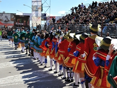 Sfilata dei carri, gruppi e meraviglie 2014, foto 316