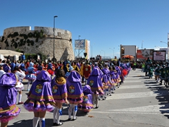 Sfilata dei carri, gruppi e meraviglie 2014, foto 317