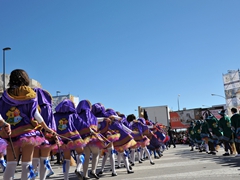 Sfilata dei carri, gruppi e meraviglie 2014, foto 319