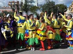 Sfilata dei carri, gruppi e meraviglie 2014, foto 337