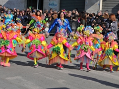 Parata carri allegorici, gruppi mascherati e meraviglie 2015. Foto 016