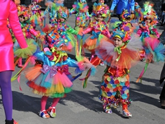 Parata carri allegorici, gruppi mascherati e meraviglie 2015. Foto 017