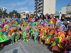 Parata carri allegorici, gruppi mascherati e meraviglie 2015. Foto 021