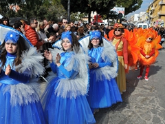 Parata carri allegorici, gruppi mascherati e meraviglie 2015. Foto 024