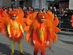 Parata carri allegorici, gruppi mascherati e meraviglie 2015. Foto 025