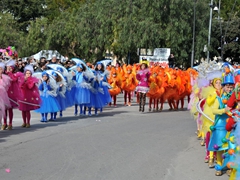 Parata carri allegorici, gruppi mascherati e meraviglie 2015. Foto 030