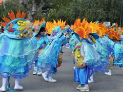 Parata carri allegorici, gruppi mascherati e meraviglie 2015. Foto 056